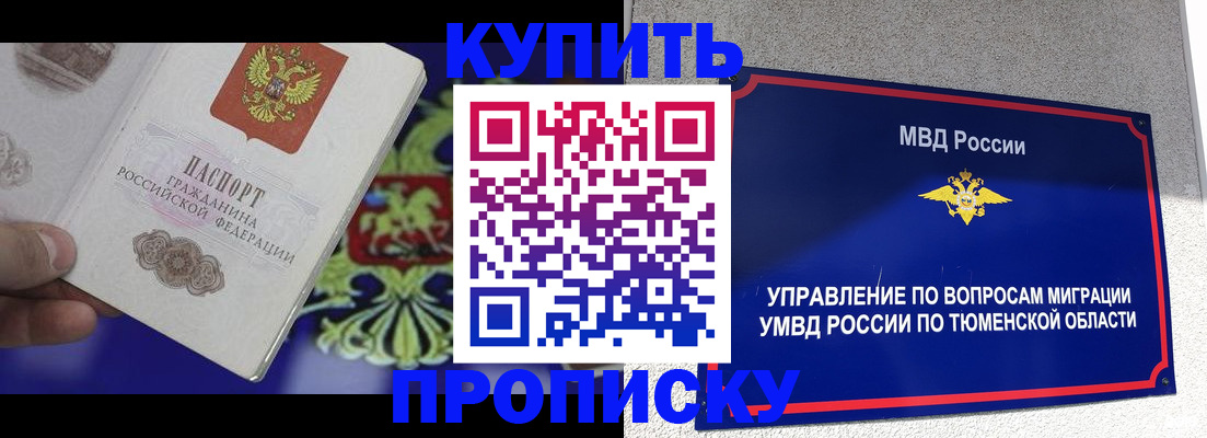 прописка 2025 в Губахе